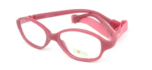 Secg 1251 Secg 1251