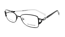 Discoverer 0040