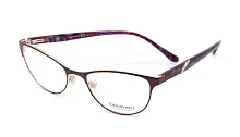 Discoverer 5020