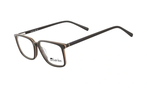Baniss BS8076